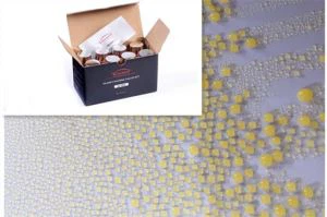 Lớp phủ gốm Si-901 Nano